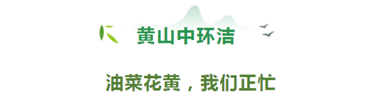 1617327559336744.png image.png