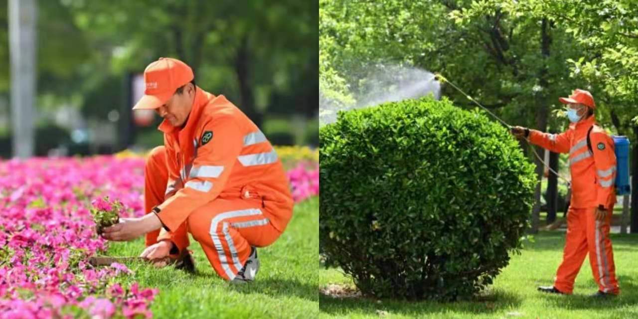 1622445115757638.jpg 1622445115757638.jpg