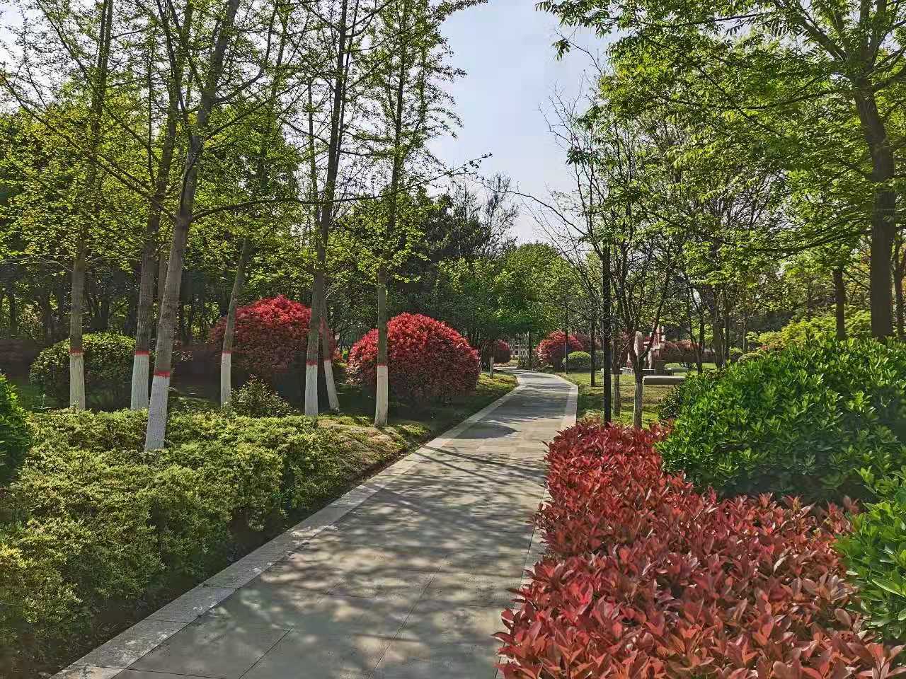 1622445144613389.jpg 1622445144613389.jpg