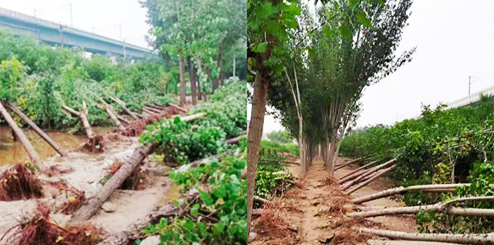 1627612954286522.png 1627612954286522.png