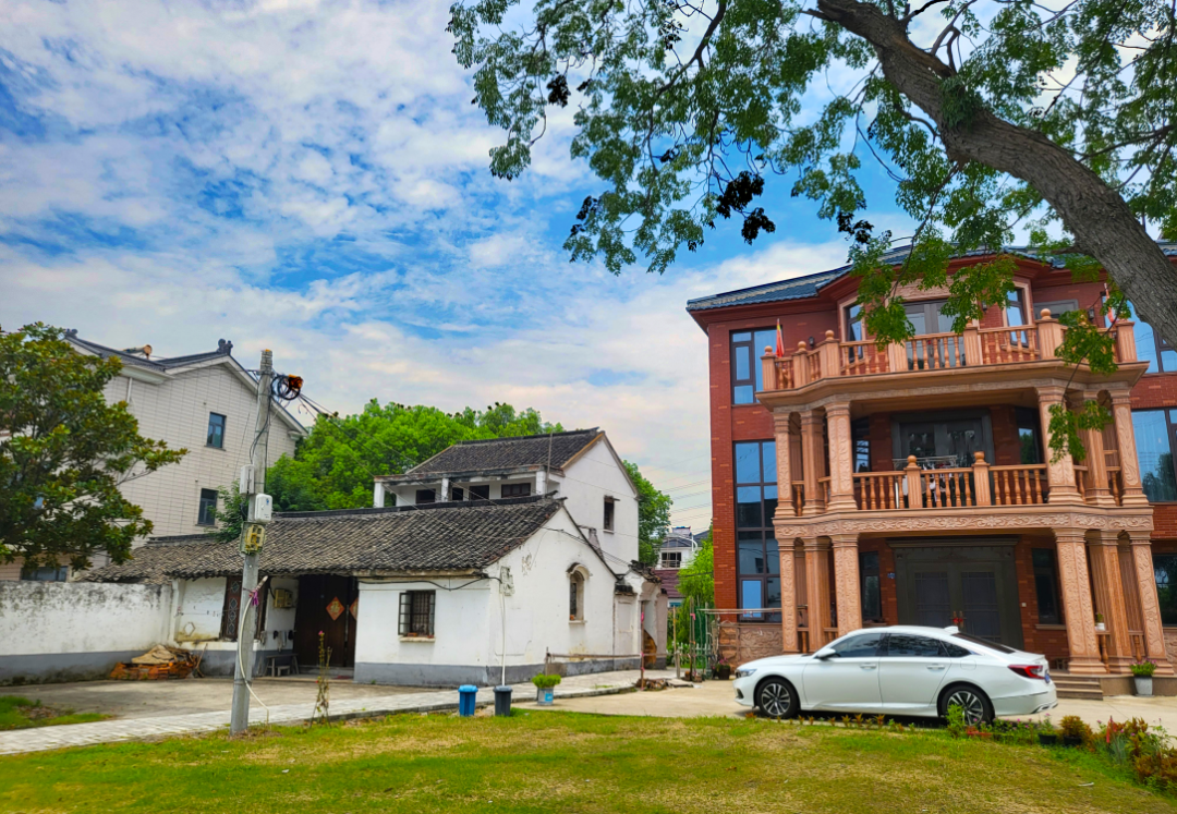 1690187011929115.png 1690187011929115.png