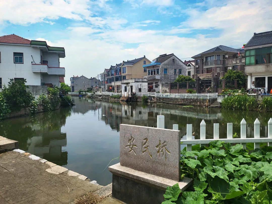 1690187195476699.jpg 1690187195476699.jpg